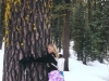 tree-hugger
