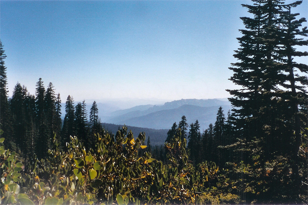 Mount Shasta Magic Awaits